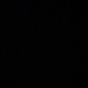 Meet your Posher, Hayden